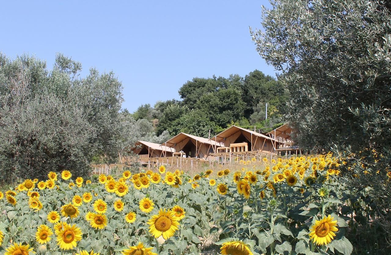 Il Girasole Country Village Massignano Exterior foto